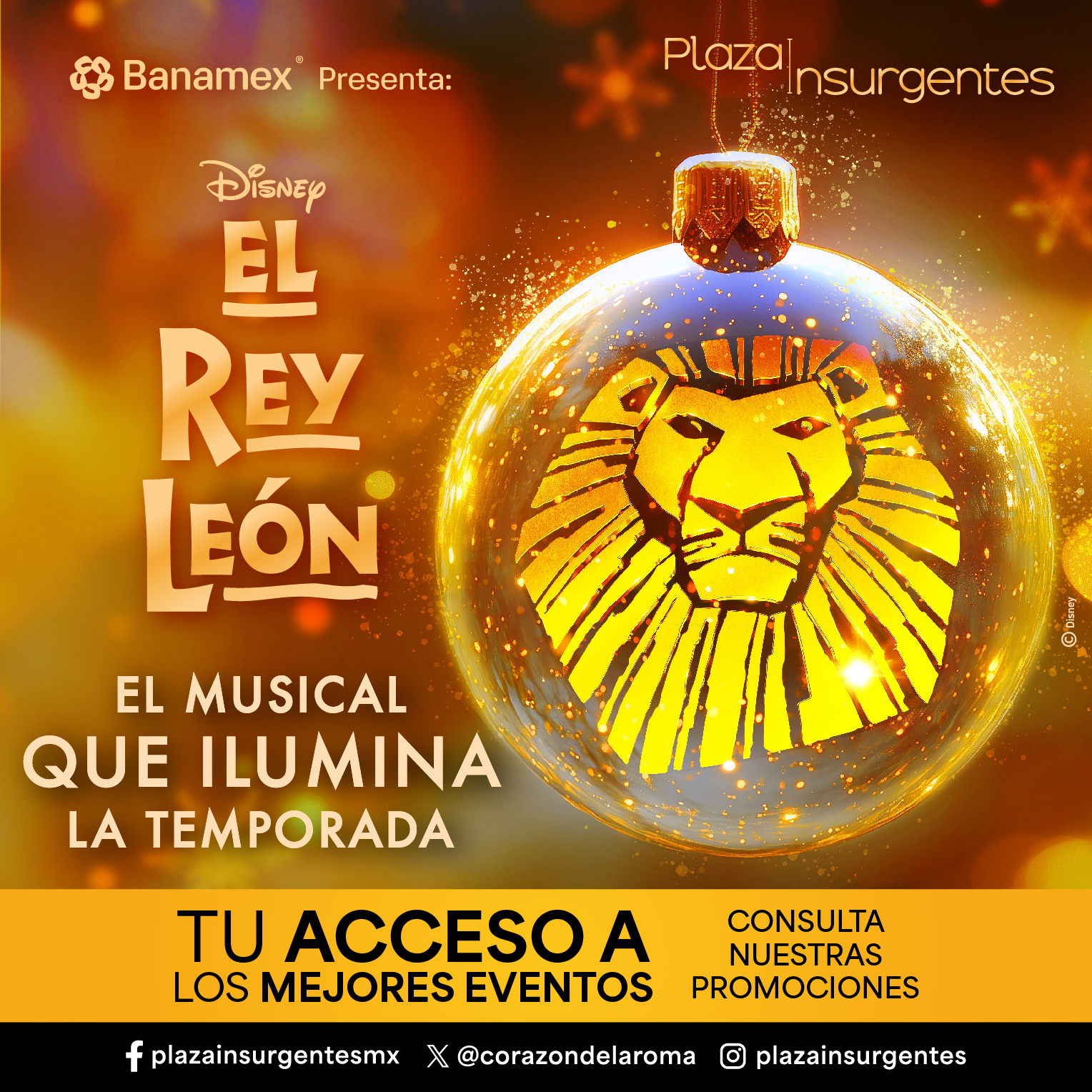 rey leon